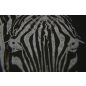 Curious matter - black truffle - 270g - A4 <100ív/csomag>