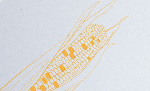 Crush - corn (kukorica) - 250g - A4 <100ív/csomag>