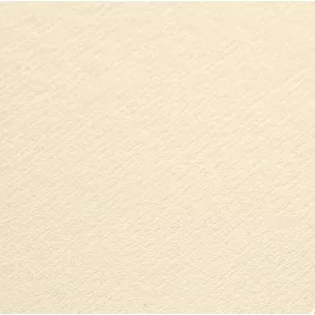   Művész karton - Bohéme (Rives) Tradition - pezsgő - 250g - 72x102cm <100ív/csomag> MK